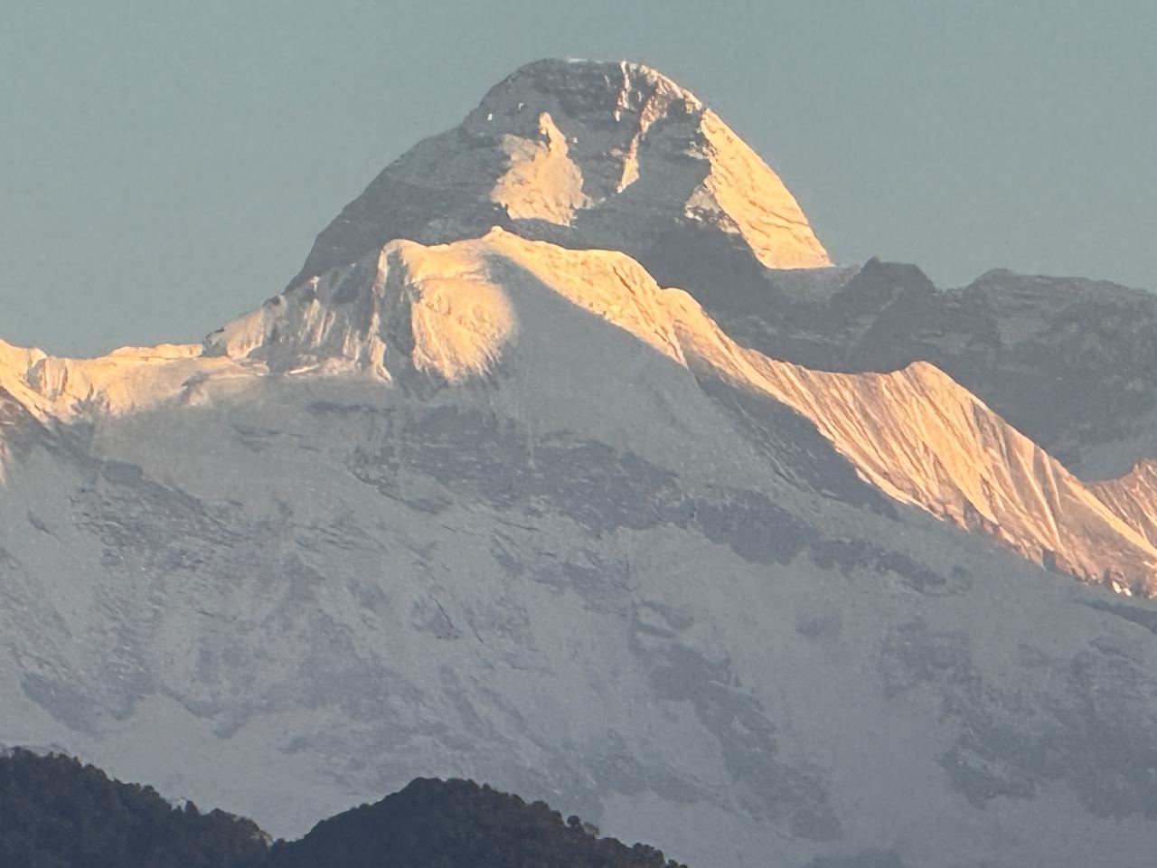 WhatsApp Image 2024-11-18 at 11.35.15 AM (1)